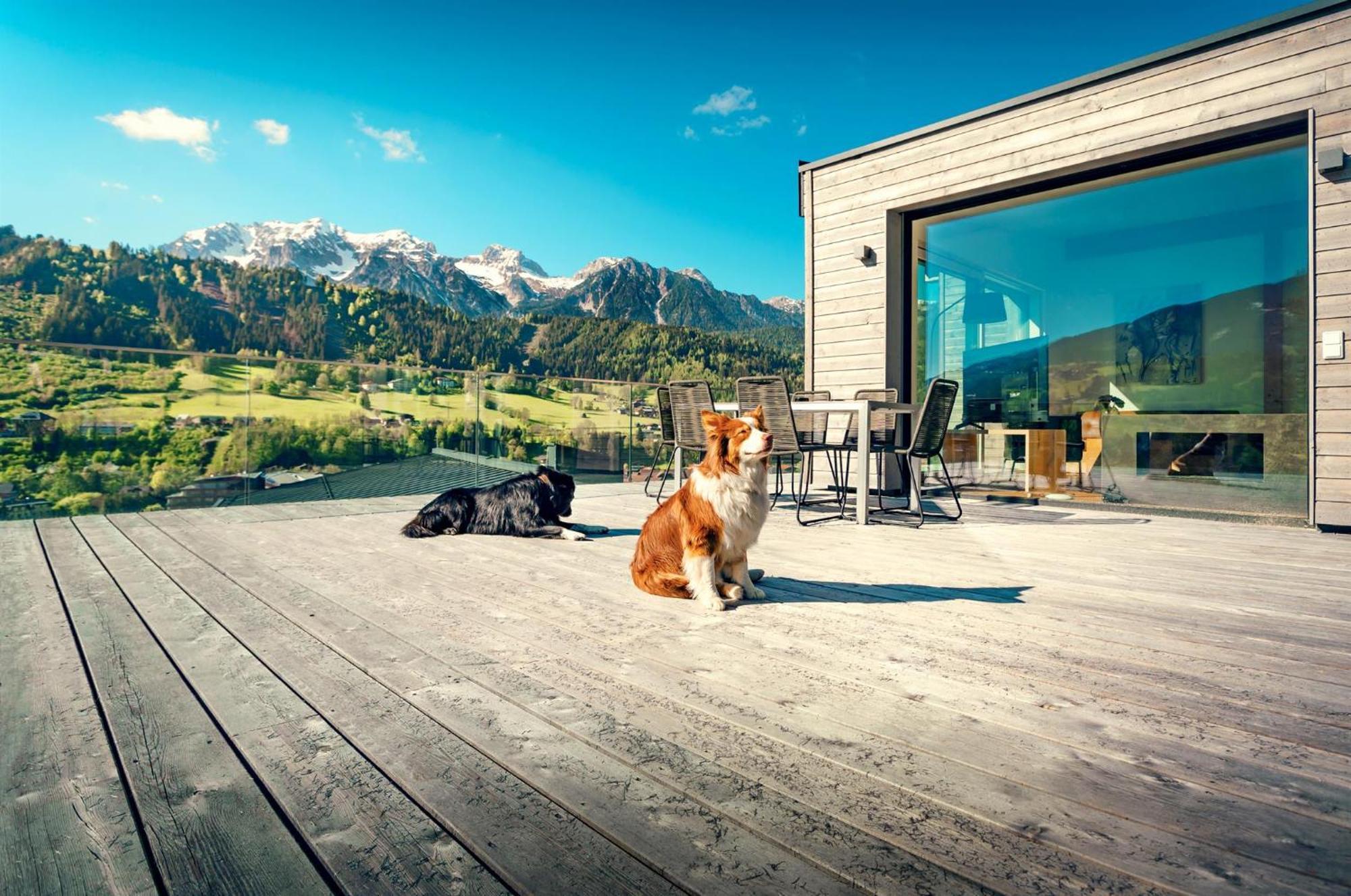 Chalets Coburg Schladming Exteriör bild